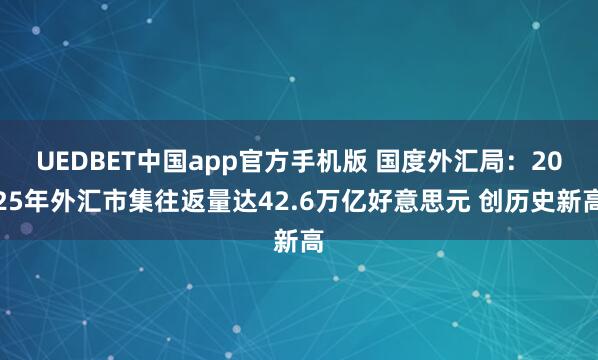 UEDBET中国app官方手机版 国度外汇局：2025年外汇市集往返量达42.6万亿好意思元 创历史新高
