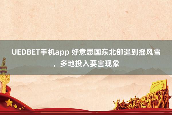 UEDBET手机app 好意思国东北部遇到摇风雪，多地投入要害现象