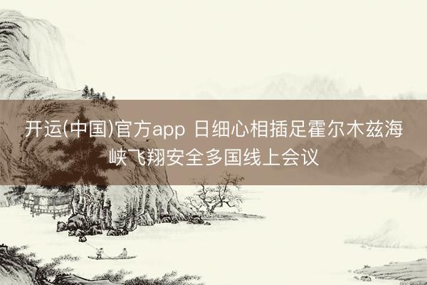 开运(中国)官方app 日细心相插足霍尔木兹海峡飞翔安全多国线上会议