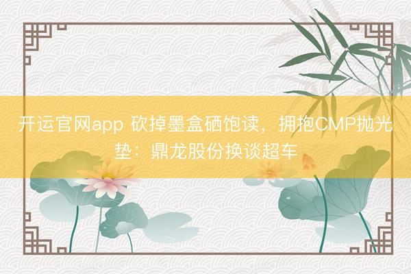 开运官网app 砍掉墨盒硒饱读，拥抱CMP抛光垫：鼎龙股份换谈超车